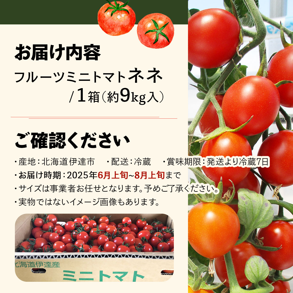  北海道産 ミニトマト ネネ 約9kg フルーツトマト 幻の 高糖度 ジューシー プチ トマト 甘い 濃厚 彩り 鮮やか 希少 お中元 お歳暮 暑中見舞い 帰省土産 ご自宅用 産地直送 大滝農園 送料