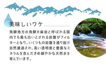 【6回　定期便】天然水　飛騨の雫　500ml×48本　(2ケース)　ミネラルウォーター ミネラルウォーター 水 ペットボトル 飲料水 500ミリリットル 白啓酒店 飛騨高山 TR4150