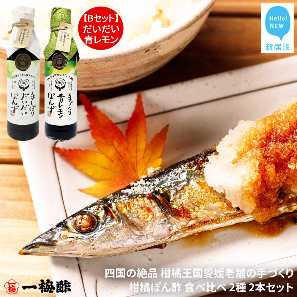 四国の絶品 柑橘王国愛媛 老舗の手づくり 柑橘ぽん酢 食べ比べ 2種 200ml×2本 Bセット（だいだい・青レモン） 【昭和23年創業 一梅酢】 国産 人気