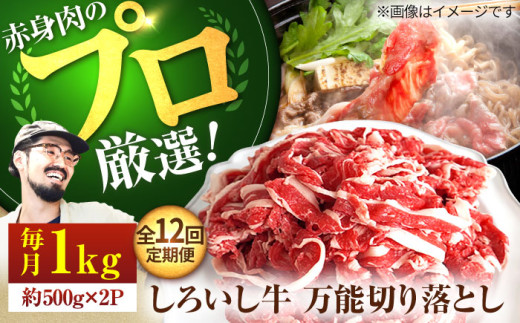 【牧場直送】【12回定期便】佐賀県産 しろいし牛 万能 切落し 1kg（500g×2パック）【佐賀セントラル牧場】佐賀県産 肉 お肉 牛肉 切り落とし 佐賀 国産 和牛 きりおとし 大容量 冷凍 九州 佐賀県 白石町 [IAH135]