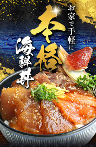 本格！ ごま醤油 海鮮丼 サーモン 12袋 | 熊本県 和水町 くまもと なごみ 魚 海鮮 肥後 海鮮丼 スライス 冷凍 漬け さかな 漬け丼 小分け 数量限定 人気 熊本県 熊本