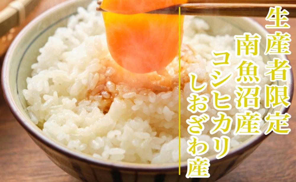 【令和8年産　新米予約】定期便３ヶ月：精米5kg生産者限定 南魚沼しおざわ産コシヒカリ【2026年10月上旬から1ヶ月以内に順次発送予定】