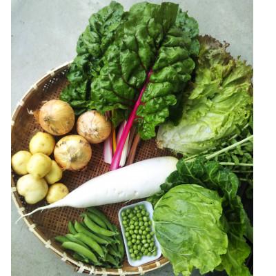 ふるさと納税 東みよし町 田口農園徳島の世界農業遺産ブランド野菜　 農家人が選ぶ旬野菜のおまかせセット |  | 02