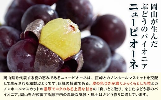 【先行予約】 岡山県産 シャインマスカット「晴王」とニューピオーネ 計 1kg 株式会社はちや《6月下旬～7月下旬頃頃出荷》岡山県 浅口市 ぶどう 葡萄 フルーツ ギフト 果物 デザート 国産【配送不