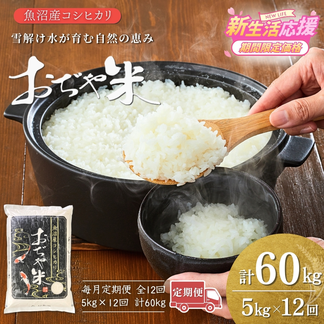 【12か月定期便（毎月発送）】 令和7年産 魚沼産コシヒカリ「おぢや米」 計60kg（5kg×1袋×全12回）【0002-JA07DB00-04】