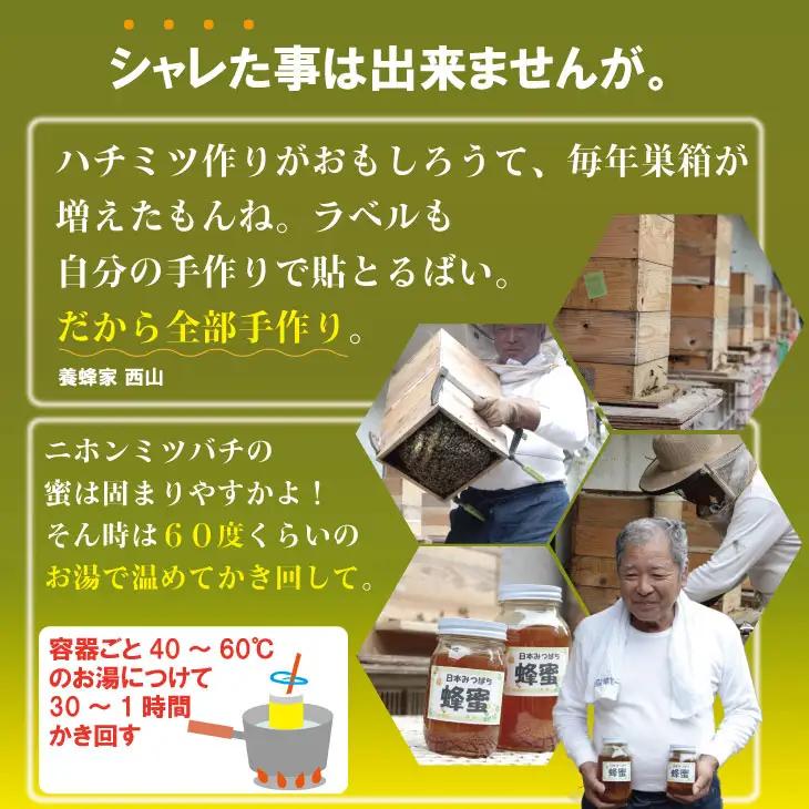 はちみつ 日本蜜蜂 百花蜜 1,000g C210-014 はちみつ 国産