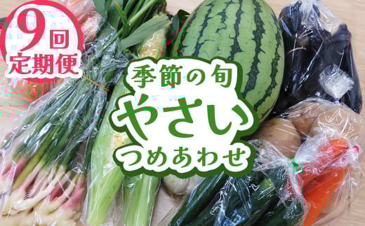 【定期便9回】下野市産 季節の旬野菜詰め合わせ | 定期便 旬野菜 詰め合わせ 野菜セット 地元野菜 栃木県産 新鮮野菜 産地直送 野菜通販 無農薬野菜 季節野菜 朝採れ野菜 地場野菜 お取り寄せ 下野市野菜 野菜詰合せ 有機野菜 地元農家 栃木野菜 栃木県 下野市