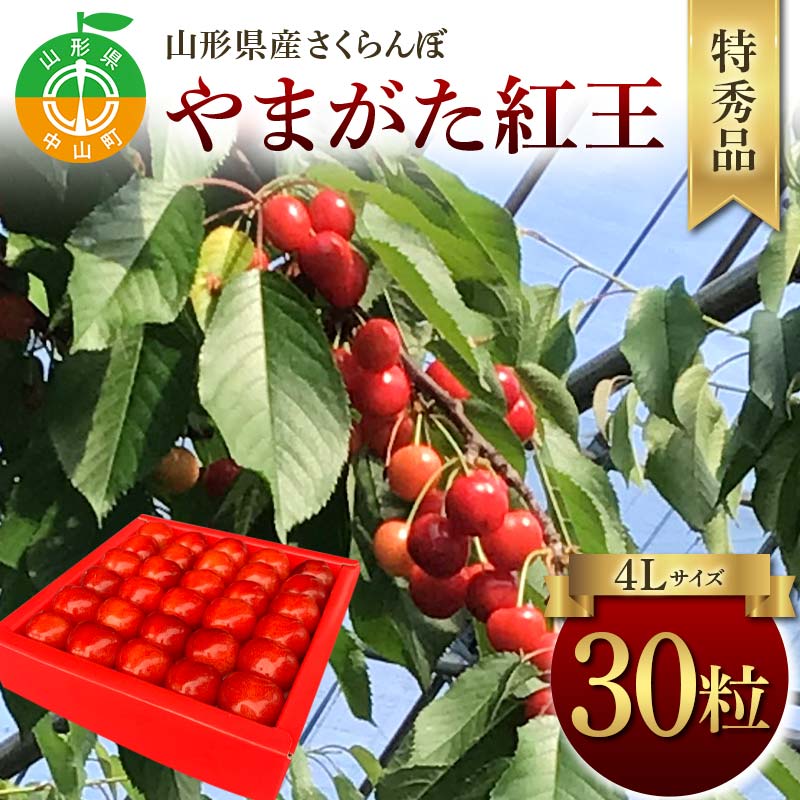 【ふるさと納税】令和8年産【先行受付】山形県産さくらんぼ＜やまがた紅王＞特秀品30粒 プレミアム 4L 期間限定 数量限定 山形県産 サクランボ フルーツ 果物 くだもの 贈答 F4A-0970
