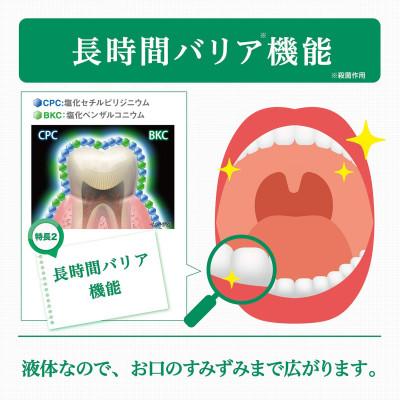 ふるさと納税 南アルプス市 ＜サンスター＞G・U・Mデンタルリンスレギュラー 960ml×3本 |  | 02