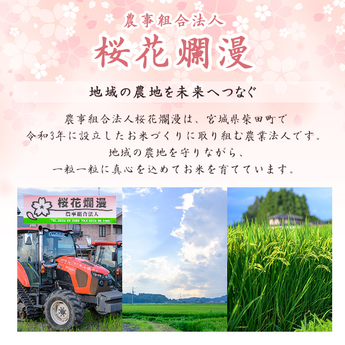 【令和8年産 新米】つきあかり 玄米 30kg 柴田町産 お米 おこめ 米 コメ ご飯 ごはん おにぎり お弁当 【農事組合法人桜花爛漫】sh126