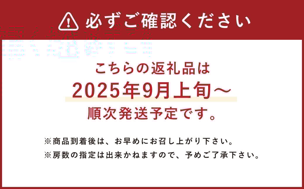 A8 【2025年9月上旬から順次発送予定】シャインマスカット 約1.2kg