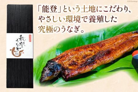 能登うなぎ 蒲焼