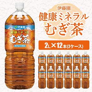 伊藤園 健康ミネラルむぎ茶 2L×12本(2ケース)【配送不可地域：離島・沖縄県】【1121131】