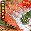 【ふるさと納税】越前若狭食宝庫の厚切塩銀鮭切身20切×約70g（約1400g）