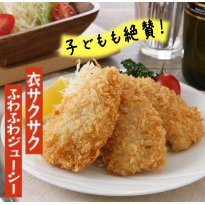 ふるさと納税 松浦市 真アジフライフィレ14枚