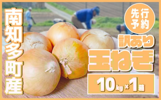 【先行予約 5～6月出荷】 訳あり 玉ねぎ 10kg(1箱)  野菜 オニオン 甘い 玉葱 肉じゃが ハンバーグ 家庭用 大きさ不揃い 先行予約 