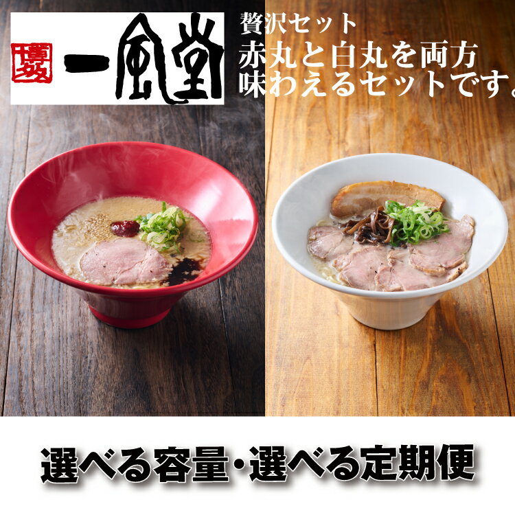 【ふるさと納税】一風堂赤丸・白丸ラー麦麺セット とんこつ ストレート 有名 専門店 本場 豚骨スープ【豚骨ラーメン】（選べる容量）