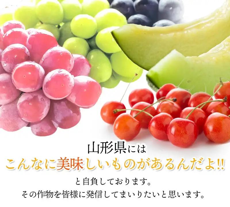 【令和8年産先行予約】シャインマスカット 約1.5kg　丸果庄内青果