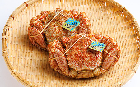 北海道産　浜茹で毛ガニ　450g前後×2尾_魚介・海産物 毛ガニ カニ けがに 毛蟹_【配送不可地域：離島・沖縄県】【1272325】