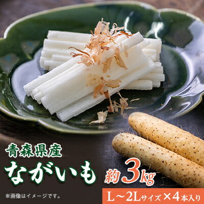 【ふるさと納税】青森県産「ながいも」約3kg(L～2Lサイズ)×4本入り)【1338374】