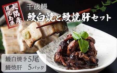 鹿児島県大隅産　千歳鰻 の 白焼 鰻　5尾・ 鰻焼肝 セット｜うなぎ うなぎ