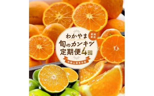 ［家庭用 訳あり］わかやま旬のカンキツ定期便[M] 全４回 3・5・9・11月発送［MS96］