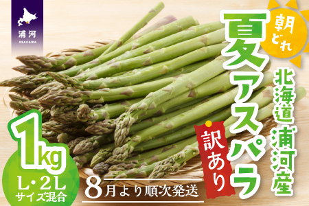 【先行予約受付中！】北海道浦河産 朝採り夏アスパラ(グリーン)1kg[03-145]