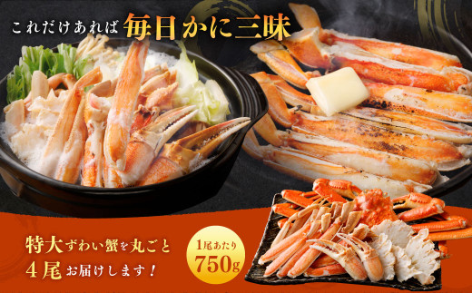 【特大】 ボイル ズワイ蟹 姿 4尾 （計3kg） 海鮮 カニ かに ズワイガニ ずわい蟹 楚蟹 ずわいがに 大型 大容量 ボイルカニ ボイルズワイガニ 蟹しゃぶ かにしゃぶ しゃぶしゃぶ カニ鍋