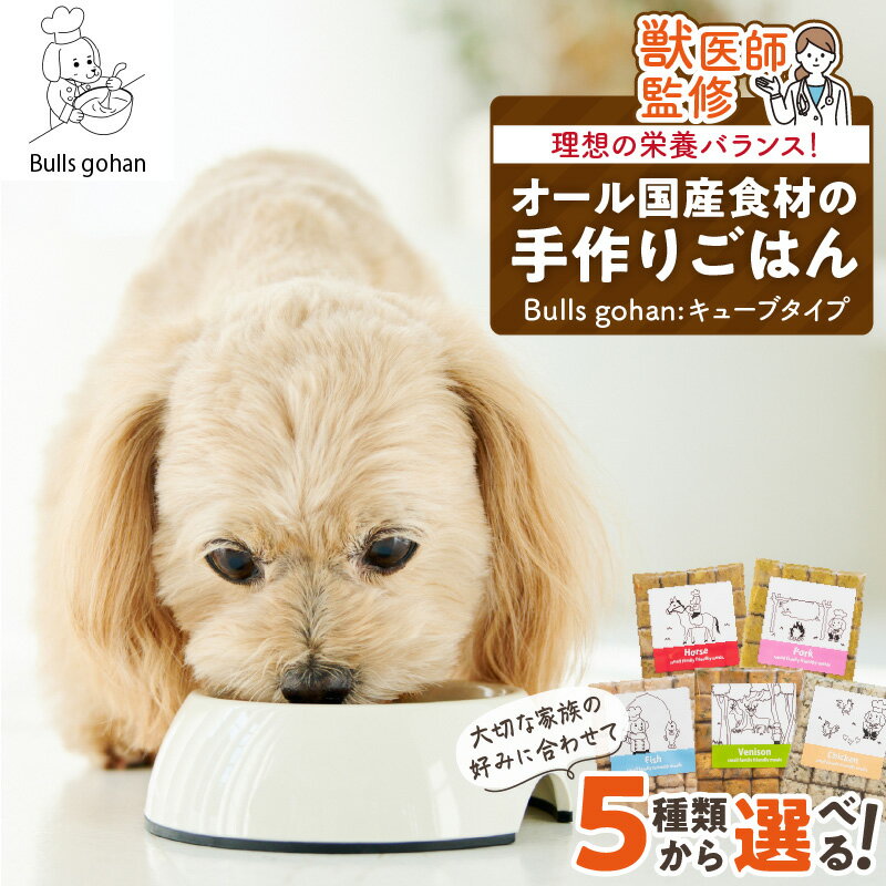【ふるさと納税】CUBE型 20個入×1袋 無添加ドッグフード 1袋300g(馬肉・豚肉・鹿肉・鶏肉・魚の中から1つ) 国産 手作り アレルギー ウェット 子犬 シニア犬 冷凍 ヒューマングレード 老犬 小型犬 お試し 選べる ペットフード ブルズごはん