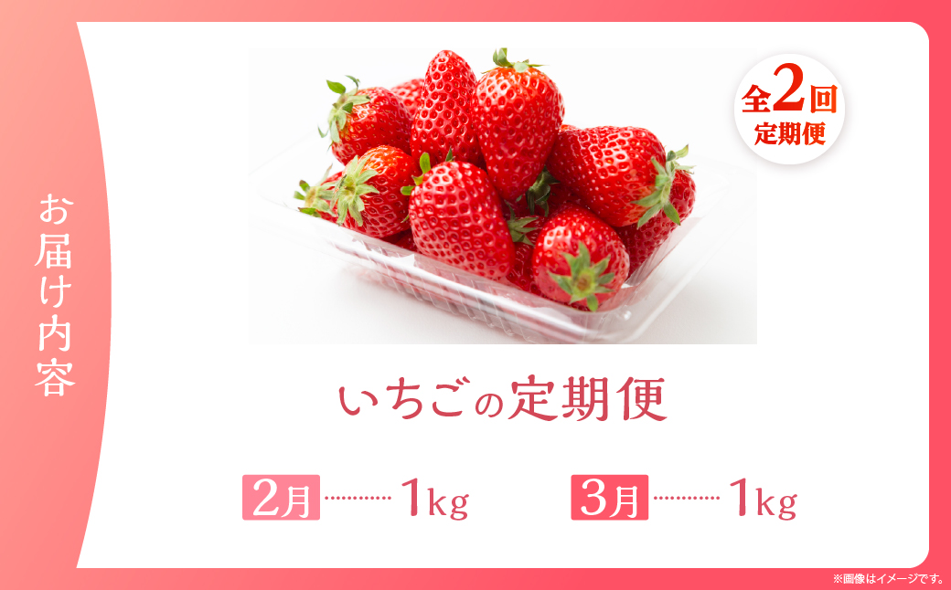 先行予約【全2回お届け】 いちご 定期便 合計2kg［I21］果物 フルーツ くだもの 2027年 青果 苺 イチゴ いちご大福 国産 おやつ スイーツ デザート おすすめ ジャム ジュース 甘い ジューシー ギフト おすそ分け 宮崎県 綾町 送料無料_A0113-014