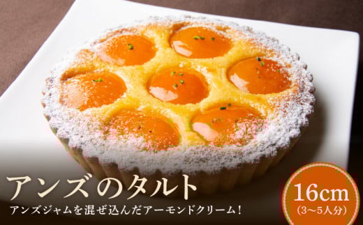 シェフお気に入り アンズ タルト 16cmサイズ 3人分 ～ 5人分 自家製アンズジャム アーモンドクリーム ケーキ 焼き菓子 ドイツ菓子 誕生日 奈良県 生駒市 お取り寄せ スイーツ デザート おやつ 洋菓子 熨斗対応 贈り物 冷凍 送料無料