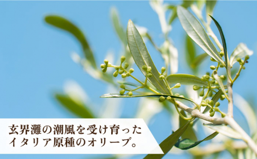 ikicael ハンドクリーム 50g 《壱岐市》【壱岐オリーブ園】 オリーブ オリーブオイル ギフト プチギフト 保湿 [JDU020] 11000 11000円 
