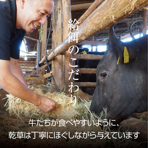 牛肉 京都もり牛 切り落とし スライス 600g 京都府産 国産 国産牛 和牛 黒毛和牛