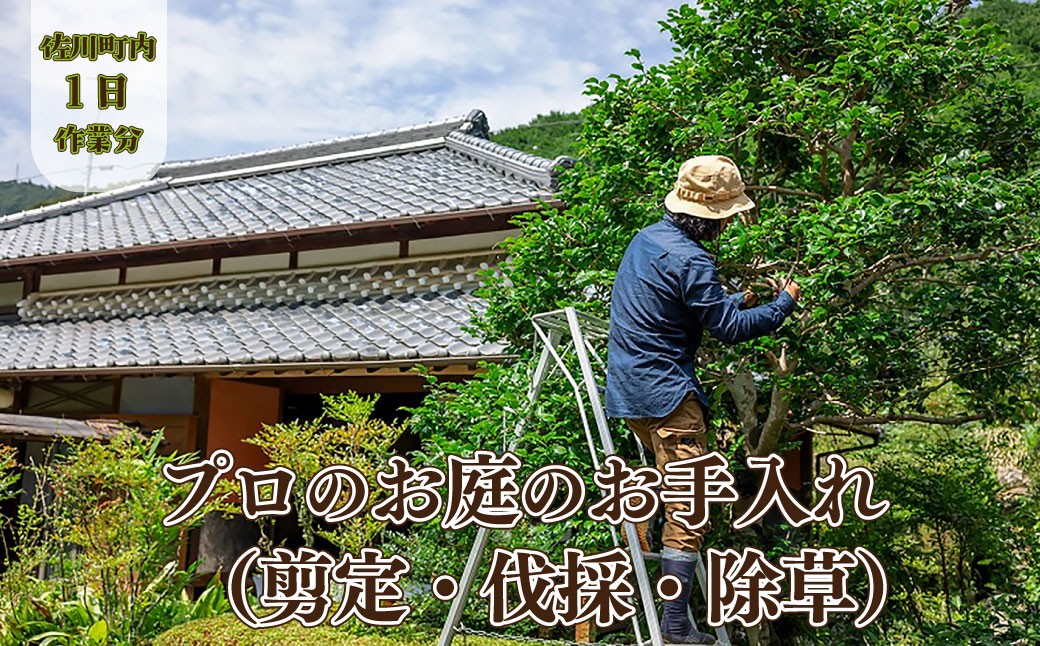 
                  【庭のお手入れ　剪定・伐採・除草】庭づくり 庭木  植木 創樹園  管理 施工  サービス 作業場は佐川町限定 実家が佐川町にある方におすすめ 
                