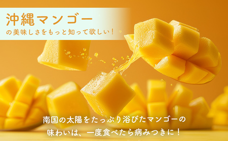 ハナトフルーツ 沖縄県産 訳ありマンゴー２ｋｇ 【2025年発送】