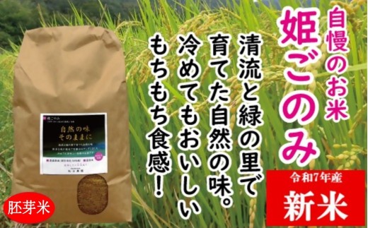 米 おいしい 姫ごのみ 胚芽米 10kg 7年産