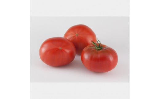 【先行予約】お徳用フルーツトマトＬサイズ 1.2kg・約15玉・Lサイズ〈2027年1月上旬～6月上旬〉 / 糖度8度以上 フルーツトマト ふるーつとまと とまと トマト 箱詰め 甘い 濃厚 高知県 