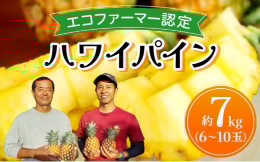 《2025年先行予約》ハワイパイン約7kg 【お届け：2025年6月中旬～7月下旬】【農園ファイミール 完熟 果物 フルーツ パイン パイナップル】