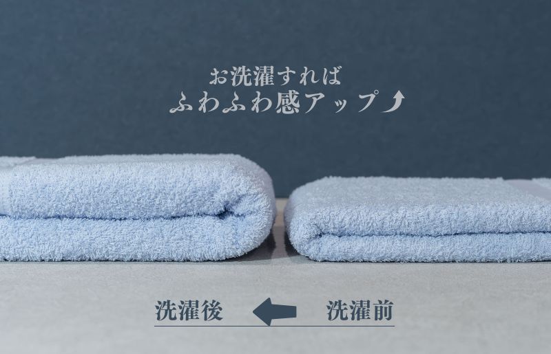 カラーバスタオル 4枚 （ブルー）【泉州タオル 国産 吸水 普段使い シンプル 日用品 家族 ファミリー】 010B1355
