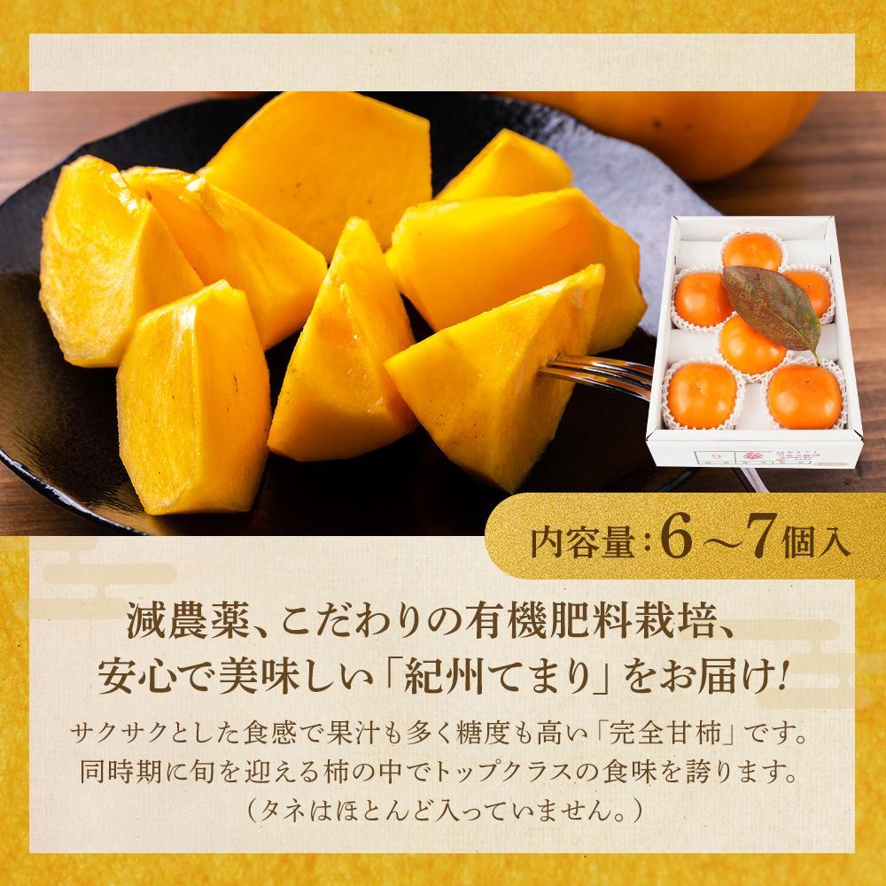 紀州てまり（和歌山県ブランド柿）6～7個入 こだわり農家厳選 先行予約 ［KG27］