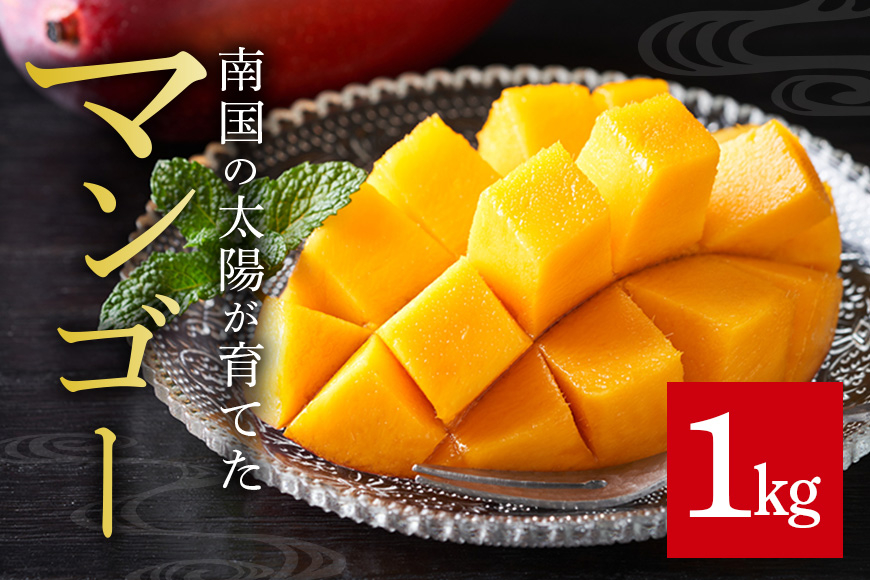 
            家庭用マンゴー 1kg 沖縄県産 マンゴー 家庭用 1キロ 国産 完熟マンゴー 果物 南国 くだもの フルーツ 完熟 夏 旬 特産品 沖縄 お取り寄せ 産地直送 農家直送 甘い 濃厚 糸満市
          
