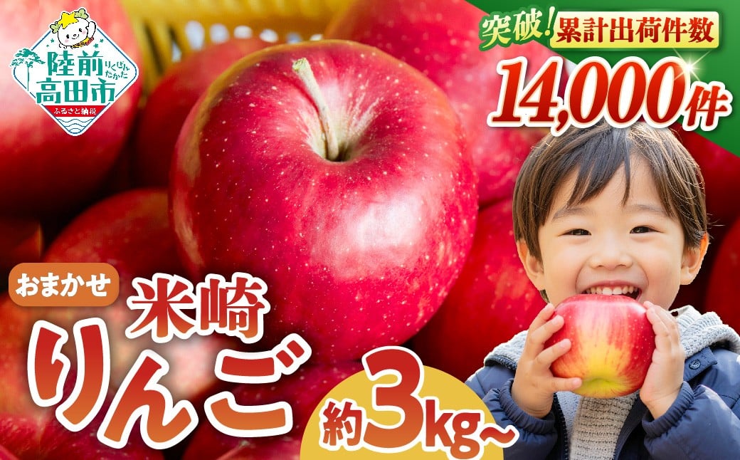 
            米崎 りんご 3kg 5kg　【選べる内容量】≪品種おまかせ≫【 数量限定 リンゴ 林檎 りんご 9月 10月 11月 12月 青林 王林 ジョナゴールド シナノスイート 等  岩手 陸前高田 産地直送 新鮮 アップル 家庭用 】RT670
          