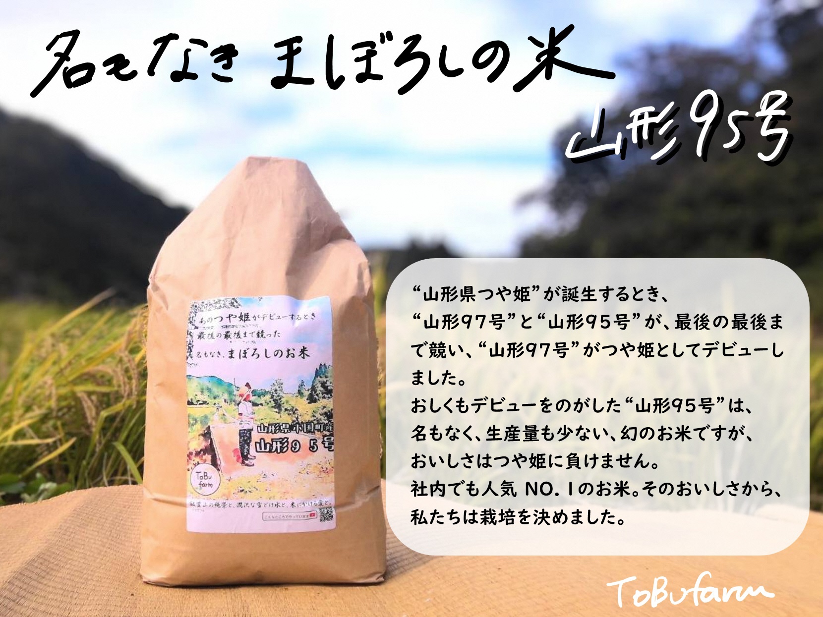 【令和６年新米 先行予約】山形県小国町産　山形95号・5kg