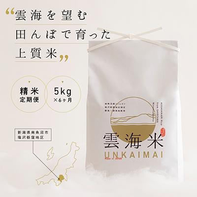 ふるさと納税 南魚沼市 【毎月定期便】南魚沼産コシヒカリ「雲海米」精米5kg全6回
