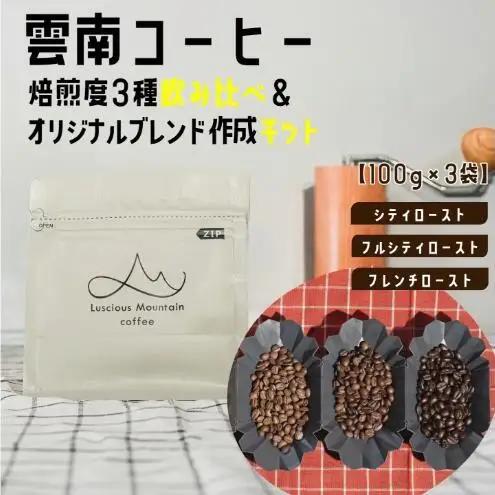 雲南コーヒー ブレンドキット 飲み比べセット【100g×3袋】