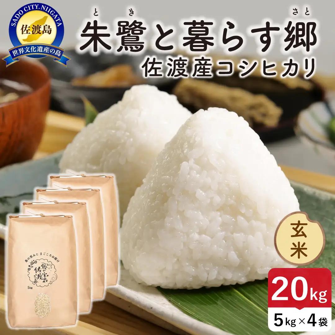 令和8年産 佐渡島産 朱鷺と暮らす郷 玄米20kg 特別栽培米 195962-094602