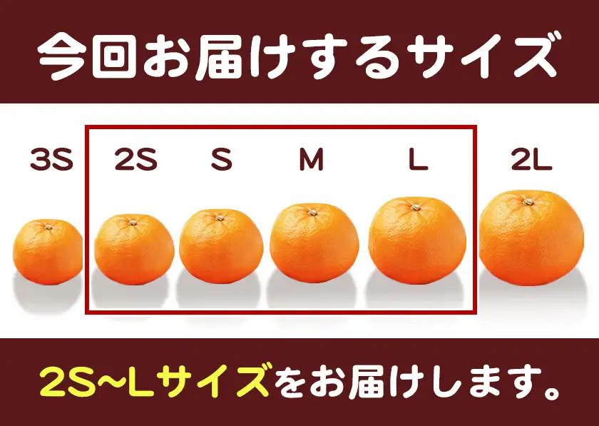 訳あり 若野みかん (2S～Lサイズ)  約5kg マルエイ農園 みかん