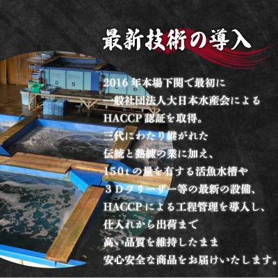 ふるさと納税 下関市 天然ふぐ鍋セット(2~3人前) 冷凍 海鮮鍋セット ID007-1 |  | 02