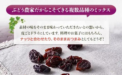 ほしぶどう 40g×10袋  国産 ドライフルーツ 無添加 保存食  食物繊維 鉄分 おやつ おつまみ