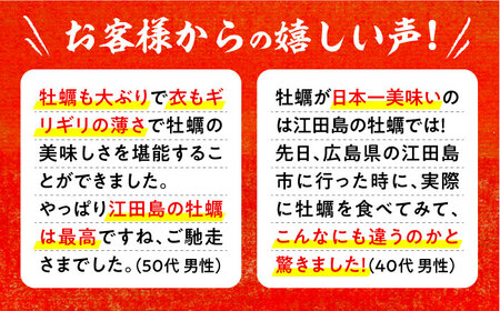 広島G7で提供された牡蠣！【全12回定期便】広島県産 牡蠣屋さんが作ったこだわりの大粒 カキフライ 20個（冷凍） かき 料理 海産物 瀬戸内 江田島市/マルサ・やながわ水産有限会社[XBL017]